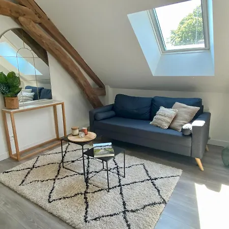 Le Cocoon Troyen Hyper Centre-ville 4 Personnes Apartment Troyes