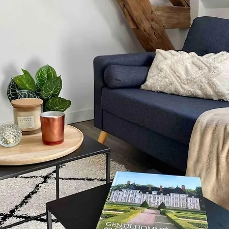 Le Cocoon Troyen Hyper Centre-ville 4 Personnes Troyes