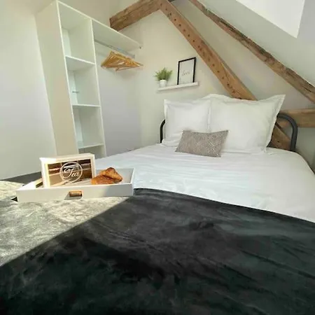 Le Cocoon Troyen Hyper Centre-ville 4 Personnes Apartment