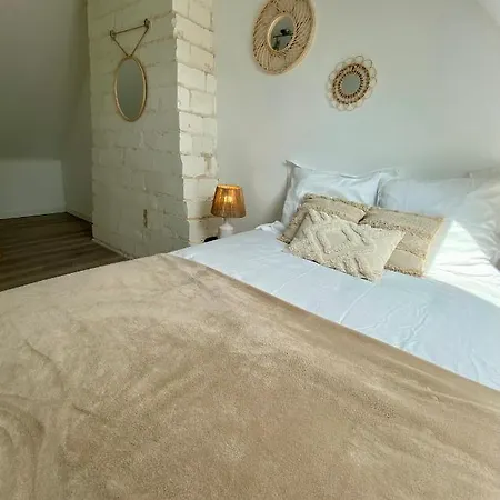 Le Cocoon Troyen Hyper Centre-ville 4 Personnes Apartment *