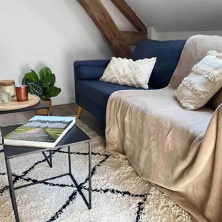Le Cocoon Troyen Hyper Centre-ville 4 Personnes Apartment Troyes