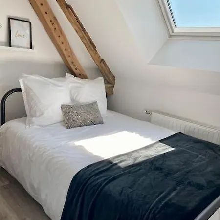 Apartment Le Cocoon Troyen Hyper Centre-ville 4 Personnes *